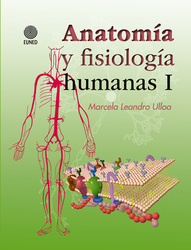 Anatomía y fisiología humana I