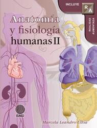 Anatomía y fisiología humanas II